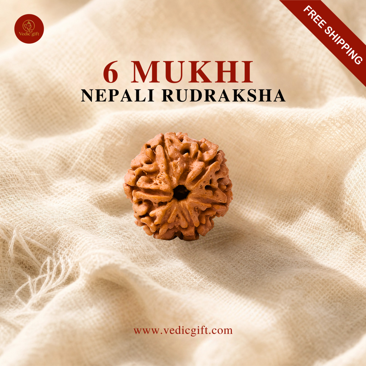 6 Mukhi Nepali Rudraksha