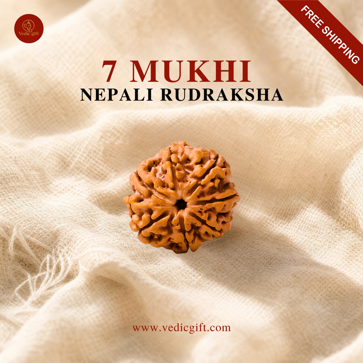 7 Mukhi Nepali Rudraksha