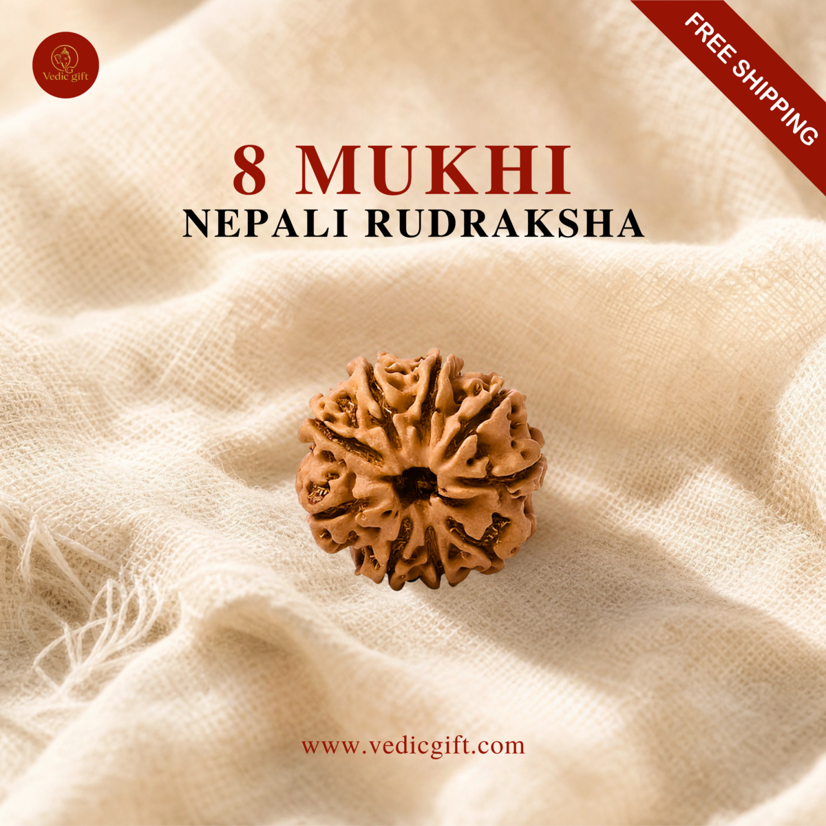 8 Mukhi Nepali Rudraksha