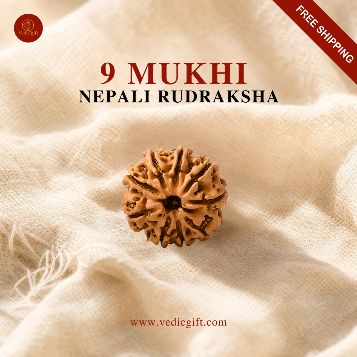 9 Mukhi Nepali Rudraksha