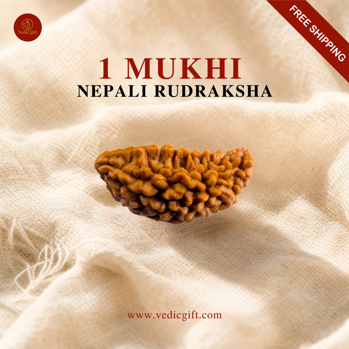 1 Mukhi Nepali Rudraksha