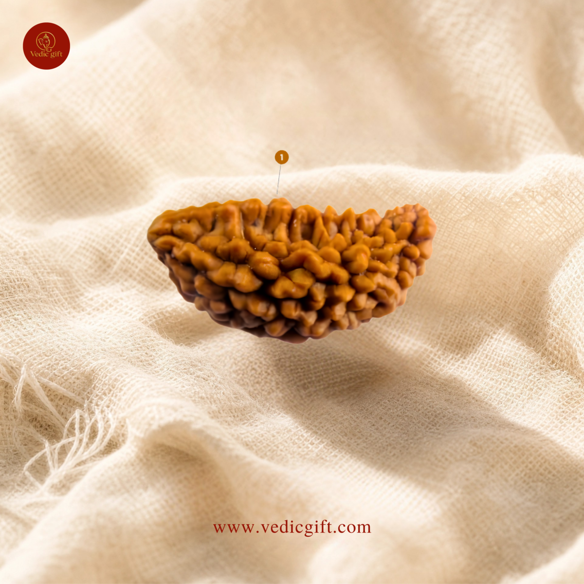 1 Mukhi Nepali Rudraksha