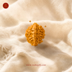 2 Mukhi Nepali Rudraksha
