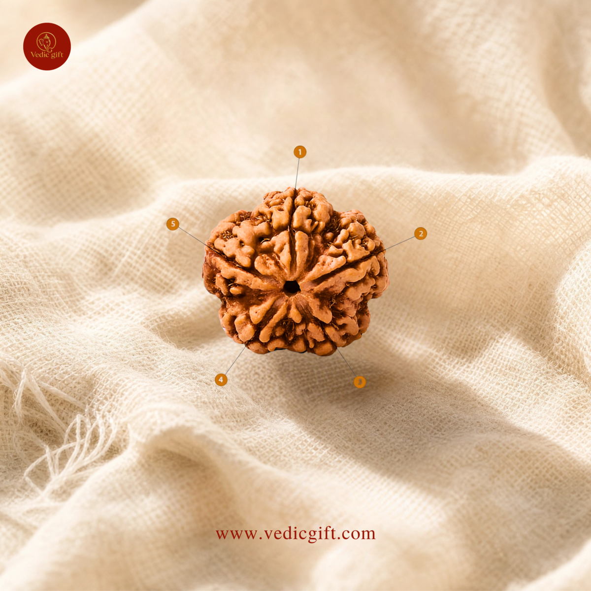 5 Mukhi Nepali Rudraksha