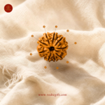 9 Mukhi Nepali Rudraksha