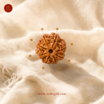 8 Mukhi Nepali Rudraksha