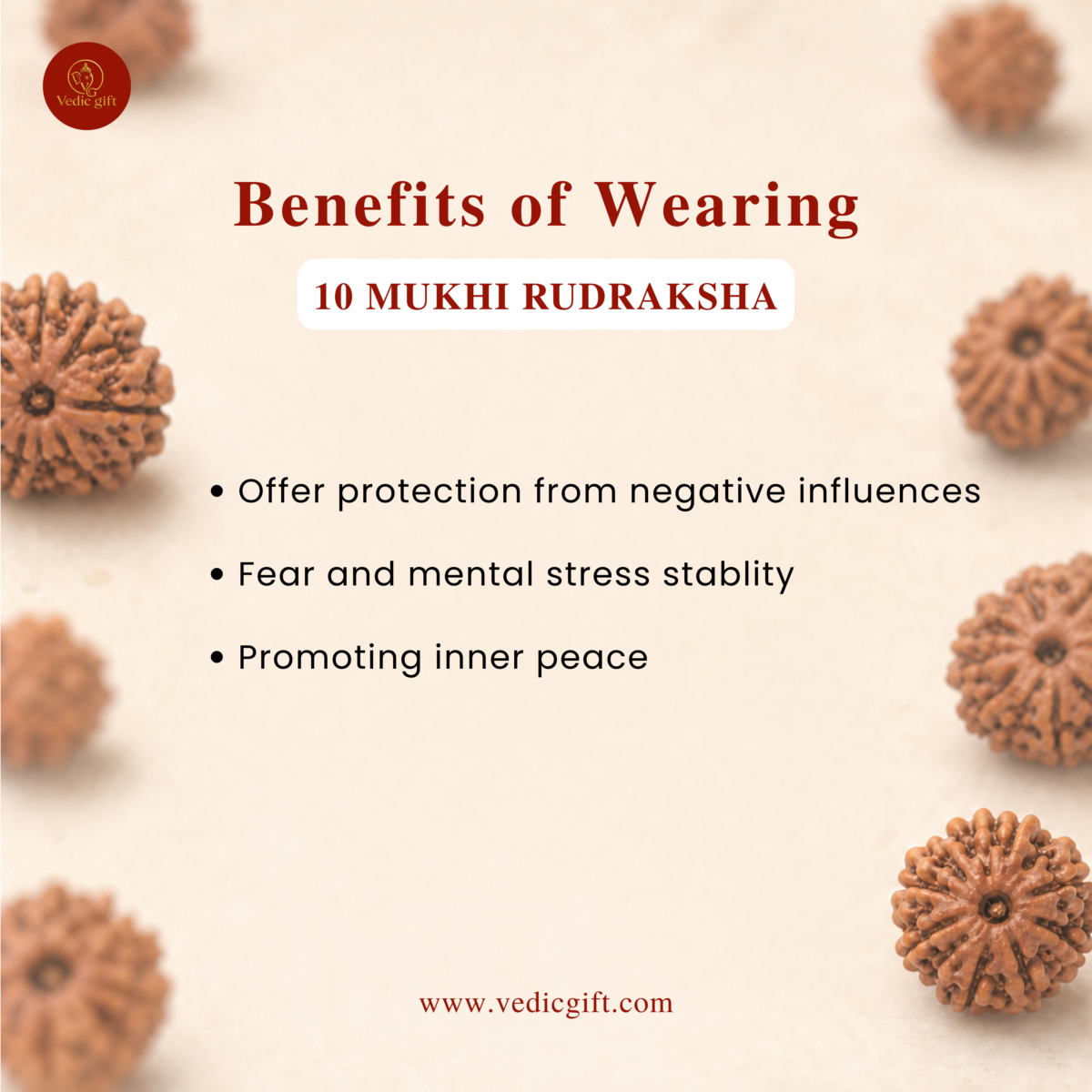 10 Mukhi Nepali Rudraksha