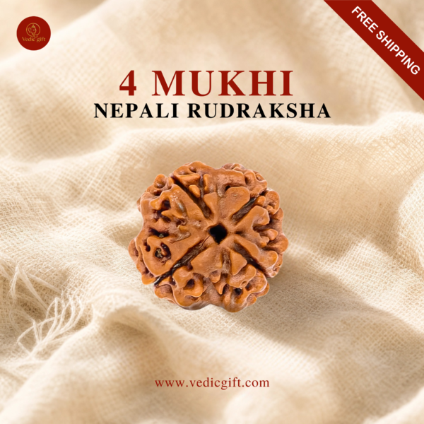 4 Mukhi Nepali Rudraksha