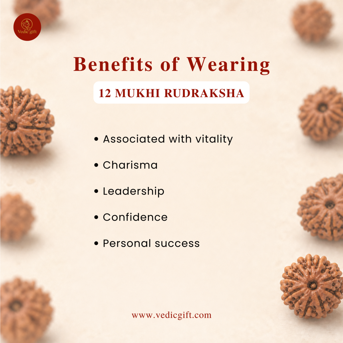 12 Mukhi Nepali Rudraksha